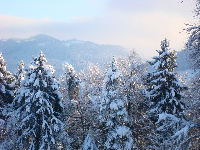 ../Images/Jagd 051.jpg